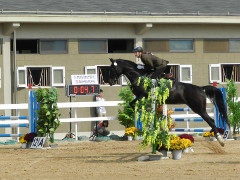 2 sided, 6 digit LED display for horse riding and running, with RS422 data transmission for the scoring system